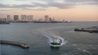 DSC00339.JPG